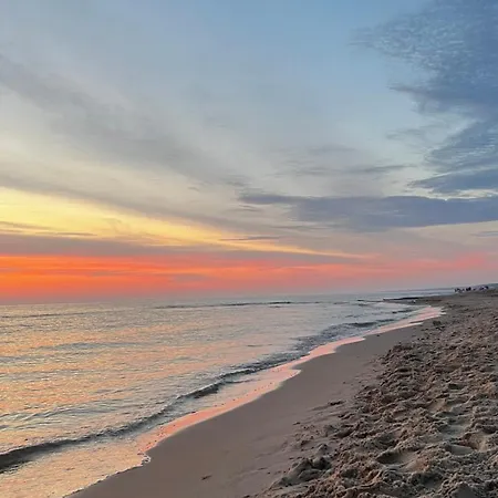 Gaja Palanga