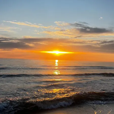 Gaja * Palanga