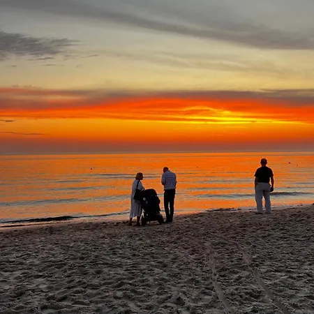Gaja * Palanga