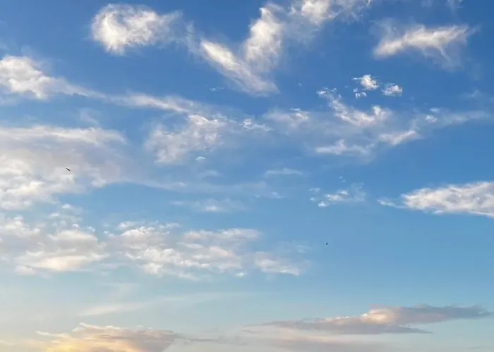 Apartman Gaja Palanga